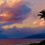 "Nature's Paintbrush", Maui, Hawai'i, color photograph, Contact: smithingah@gmail.com
