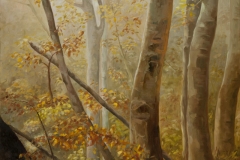 Autumn-Woods-60x36_DSC5555-sml