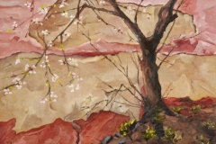 Backyard-Cherry-Blossoms-12x16_DSC5539-sml