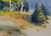 NORTHWEST TRAIL Watercolor