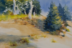 NORTHWEST TRAIL Watercolor
