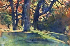oak-grove-in-autumn